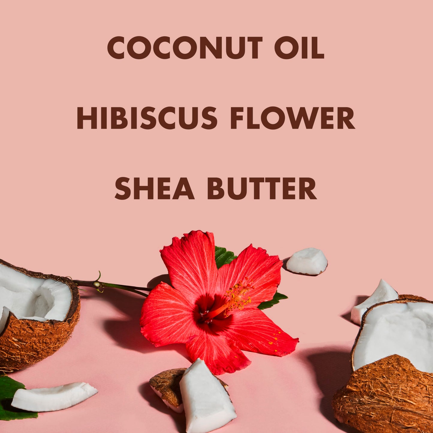 Shea Moisture Frizz-Free Curl Mousse for curly hair Coconut & Hibiscus with Silk Protein & Neem Oil 222 ml