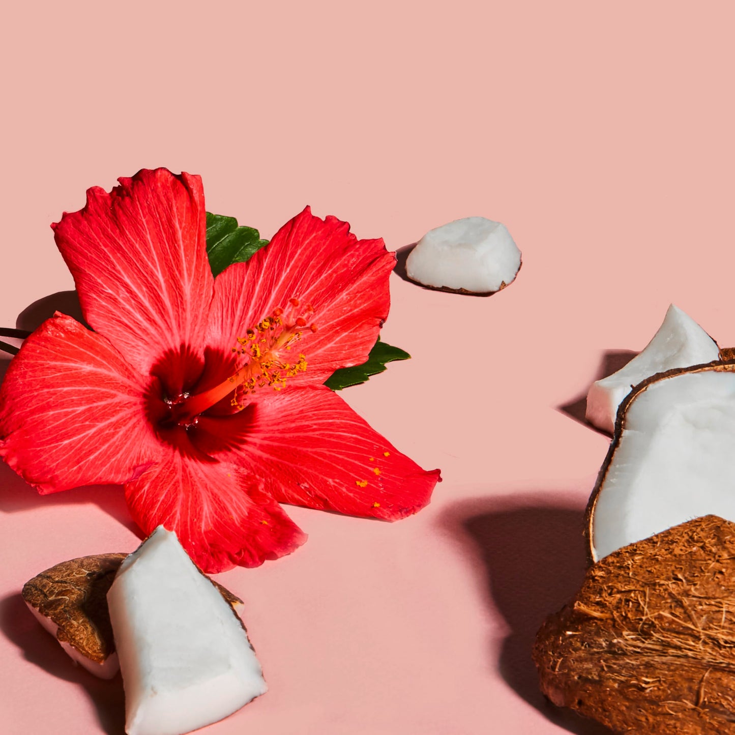 Shea Moisture Frizz-Free Curl Mousse for curly hair Coconut & Hibiscus with Silk Protein & Neem Oil 222 ml